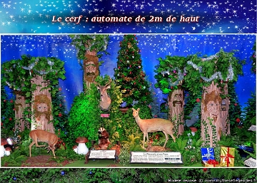 Forêt du Père Noël (049) Cerf